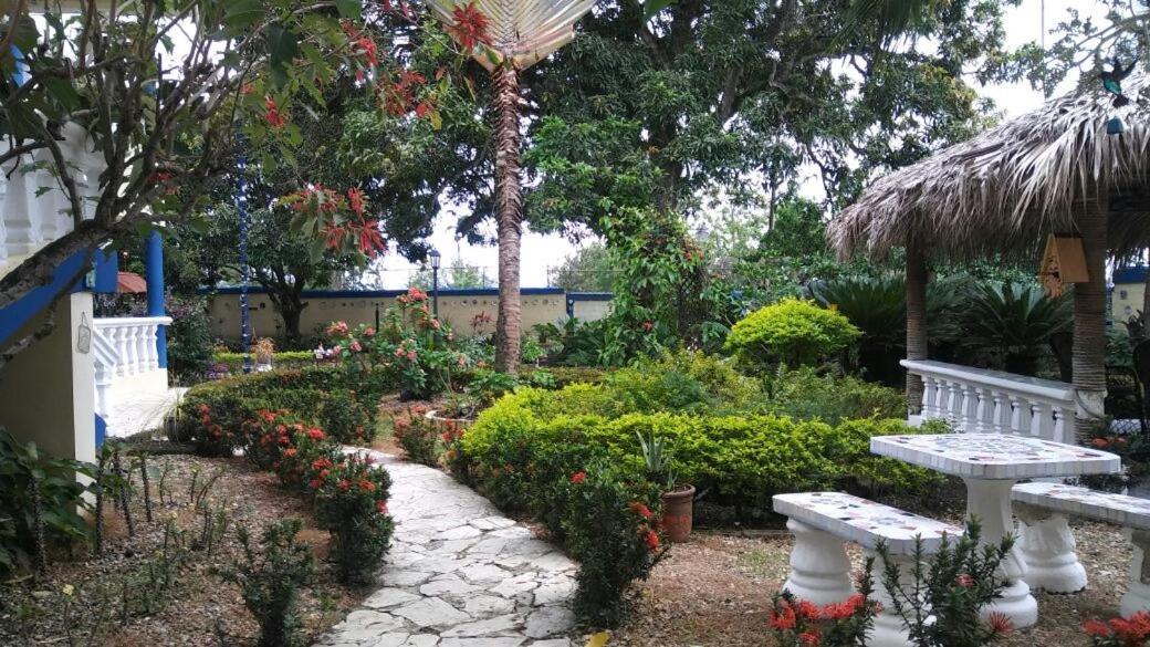 Sana El Jardin Secreto Ostello Santiago De Los Caballeros Esterno foto