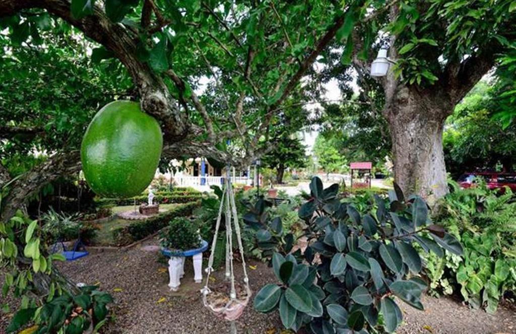 Sana El Jardin Secreto Ostello Santiago De Los Caballeros Esterno foto